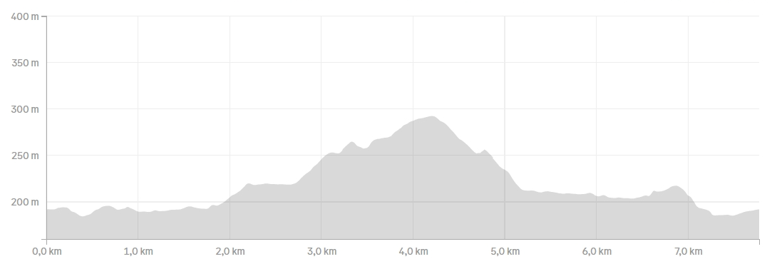 Image of a woman taking a photo.