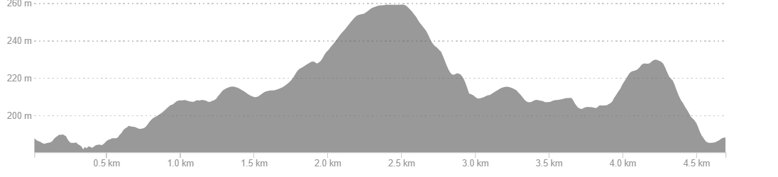 Image of a woman taking a photo.