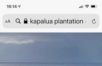 Månedens bane i januar 2021: Kapalua plantation