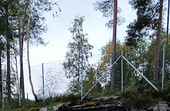 Frisbeegolf