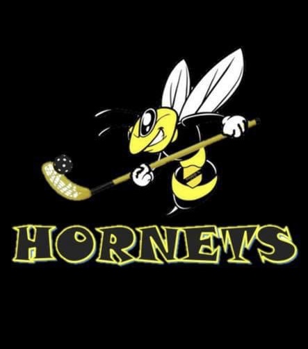 Velkommen til innebandy