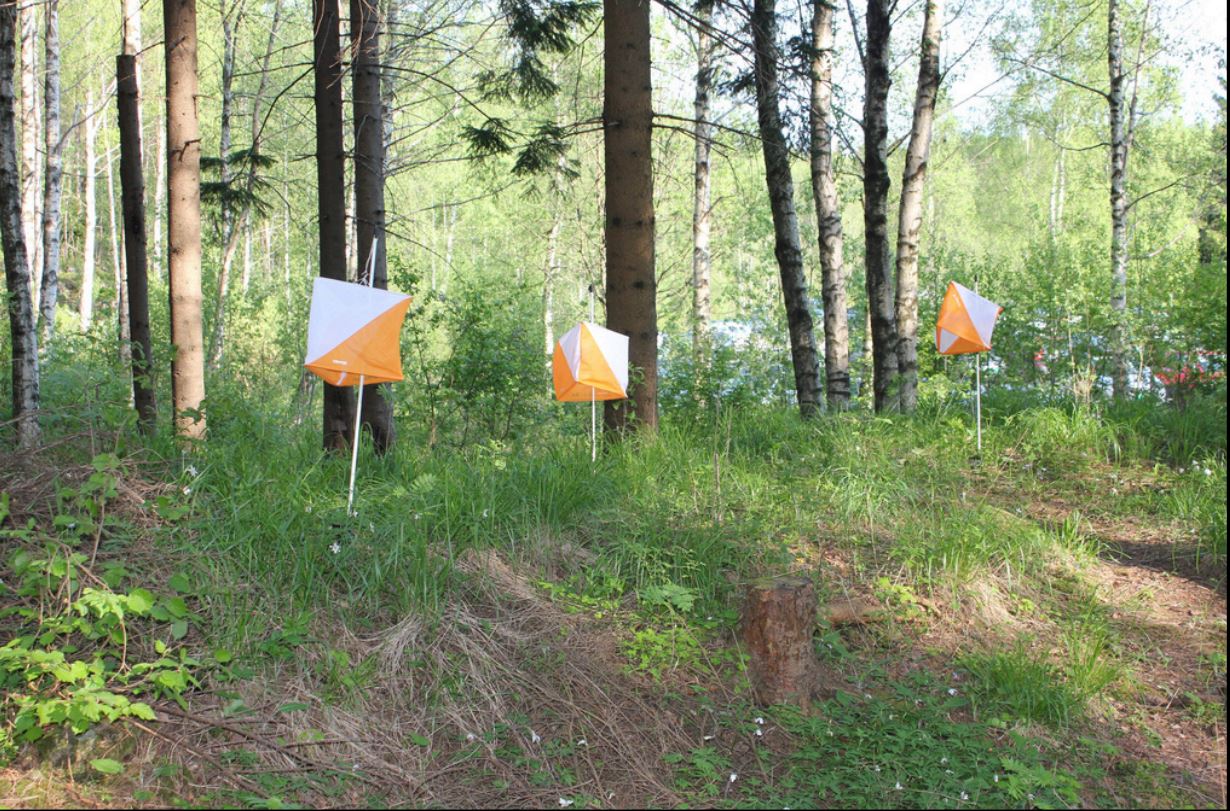 Image for Bli med på pre-O under O-festivalen