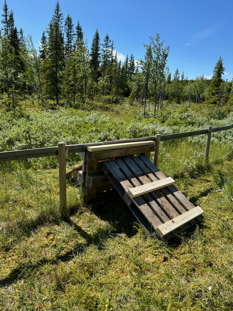 Image for Gjerdepasseringer