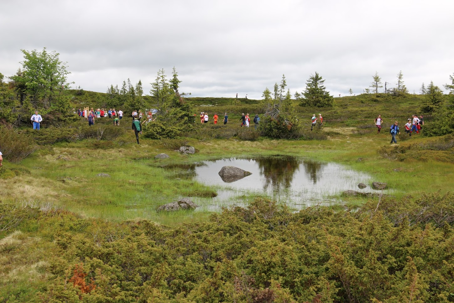 Image for Bilder Mellomdistanse, lagkonkurransen og langdistanse