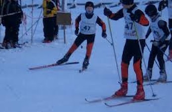 Stafetter vinteren 2019