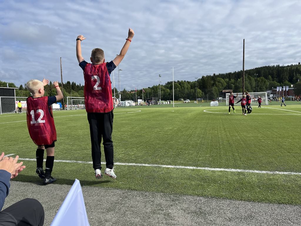 Image for Vipps handlekurv