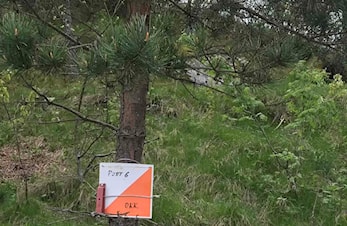 Kajakkorientering 2025