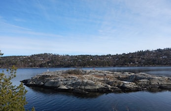 Ryddedugnad "Før-fuglene-kommer" er søndag 23.03.