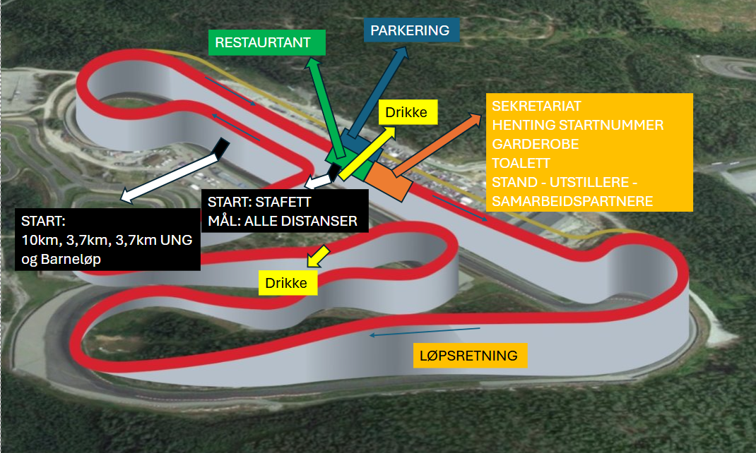 Image of a woman taking a photo.