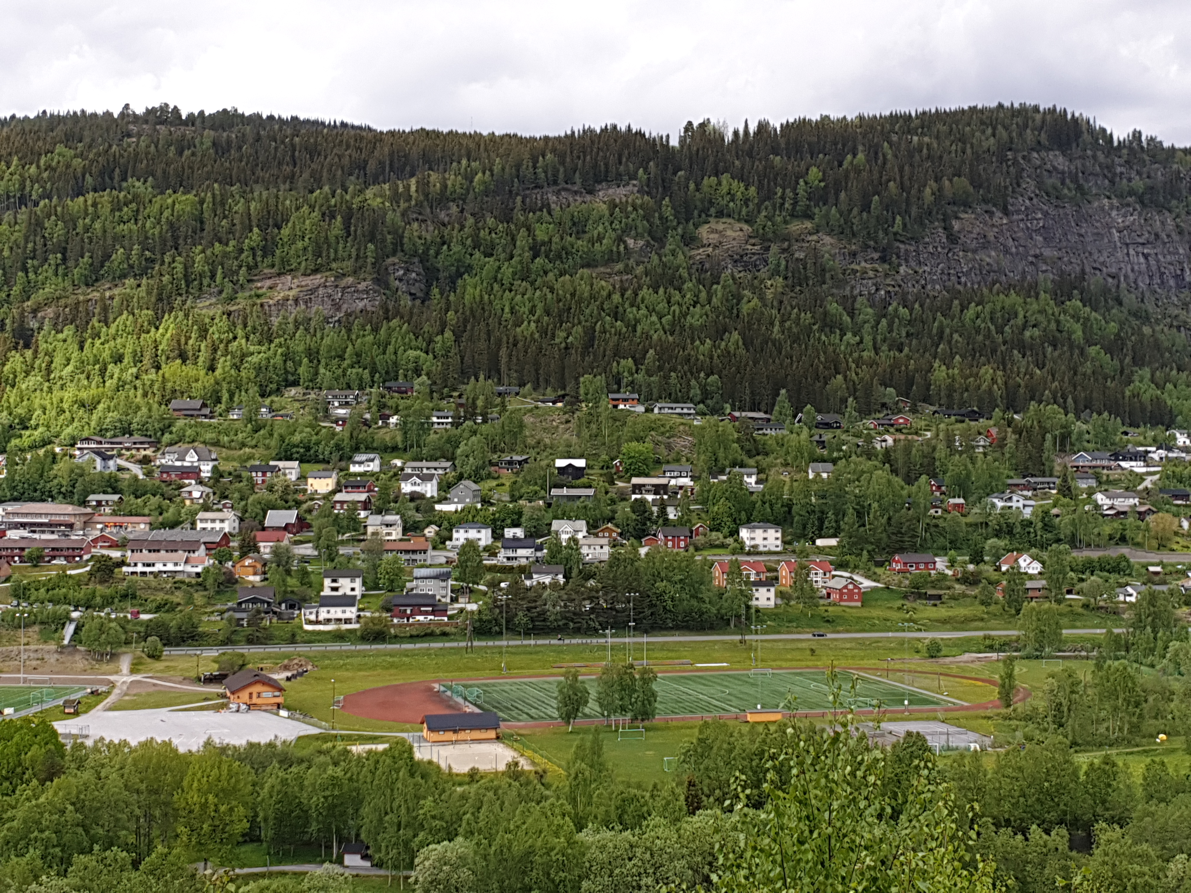 Protokoll årsmøte 2020