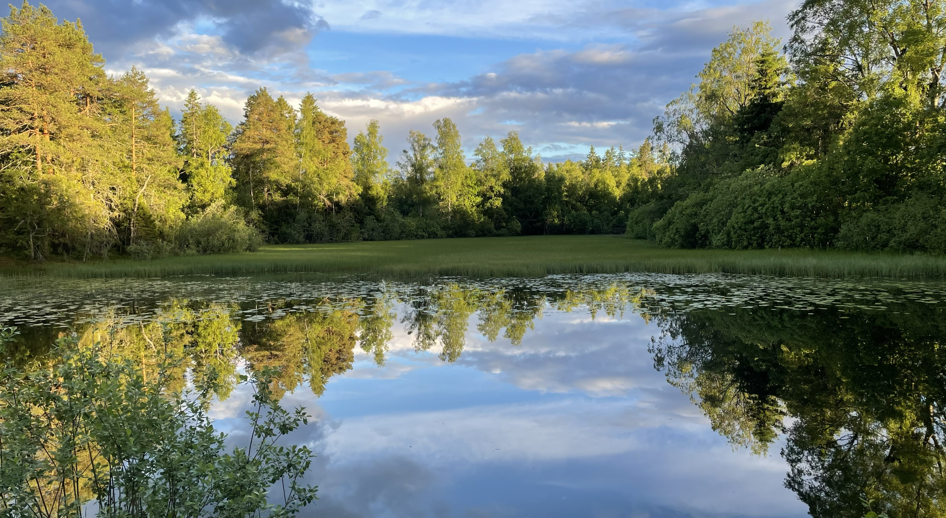 Image for Informasjon og Nytt Våren 2025