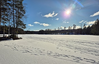 Skøytedag på Damtjenn!