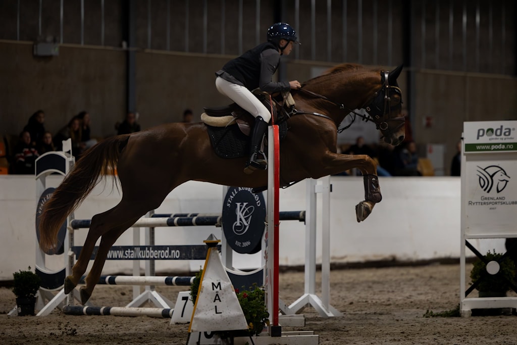 🐎🥇Gullglans og lagånd på topp – Kretsmesterskapet 2025