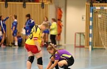 Landsturneringen på TV