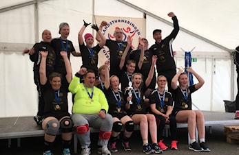 Avdelingsvinnere Landsturneringen 2017