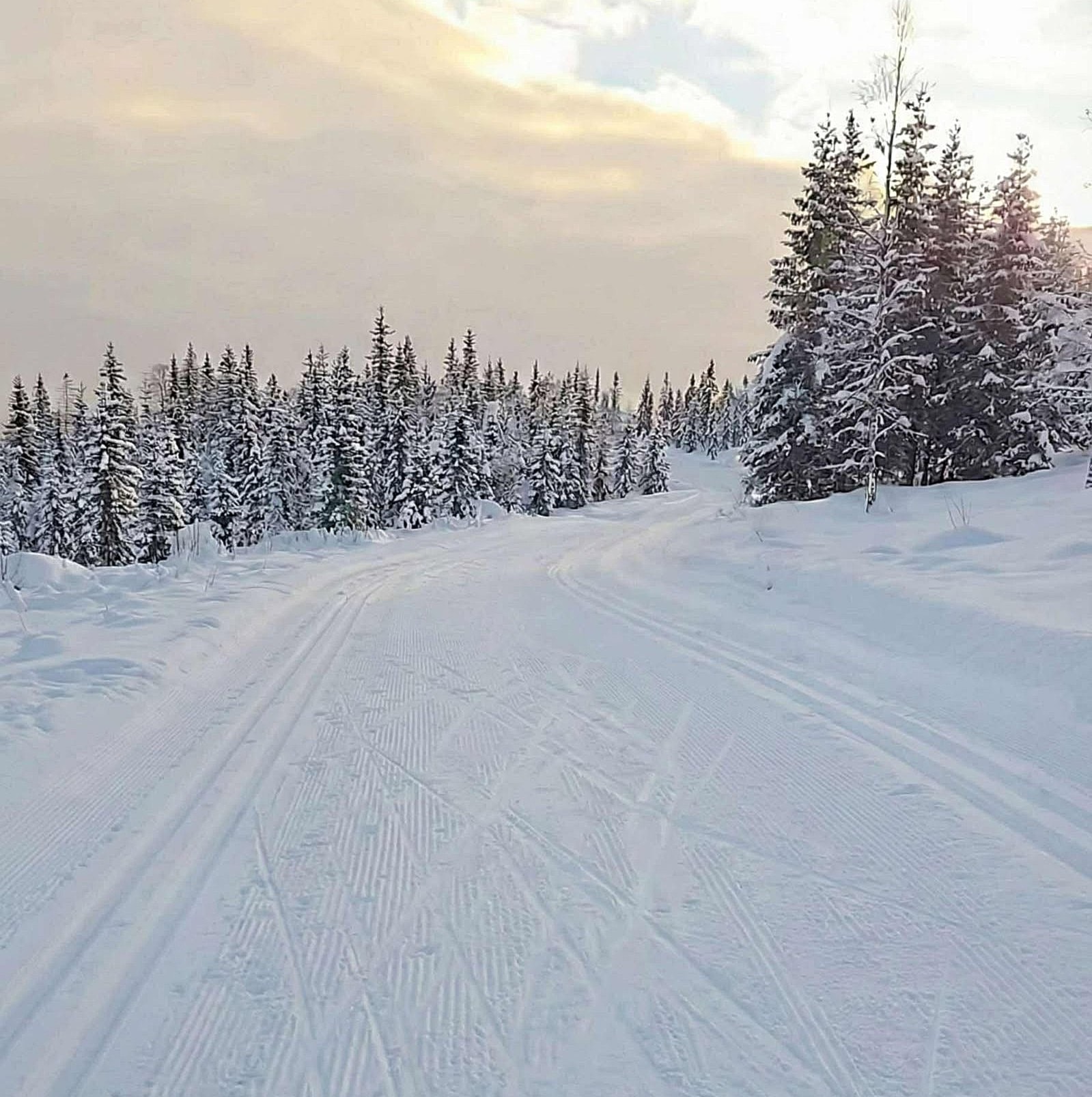 Image of a woman taking a photo.