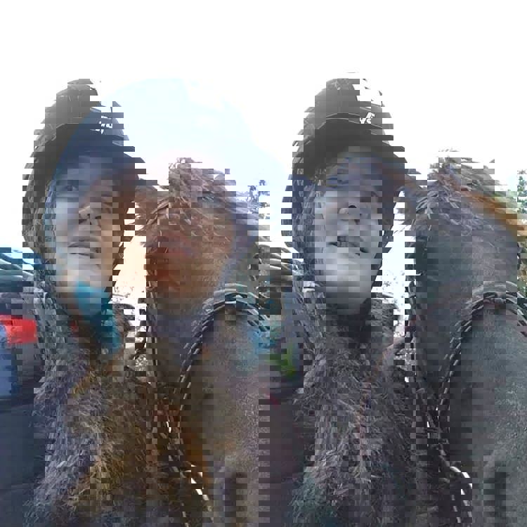 Image for Lektor og hestejente