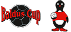 Informasjon om Baldus Cup 2018