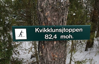 Skigruppa