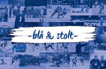 Innkalling til årsmøte i Sarpsborg Bandyklubb