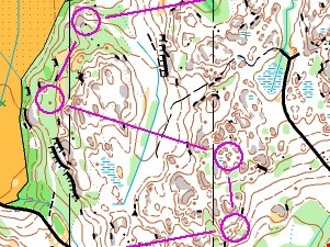 Vetle på 16.plass i NOM