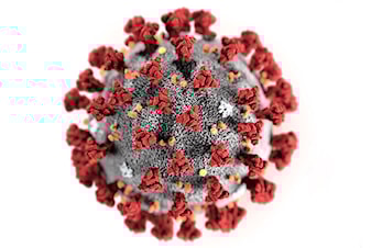 COVID-19 / Coronavirus