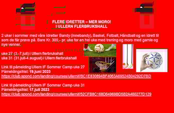 FLERE IDRETTER - MER MORO!