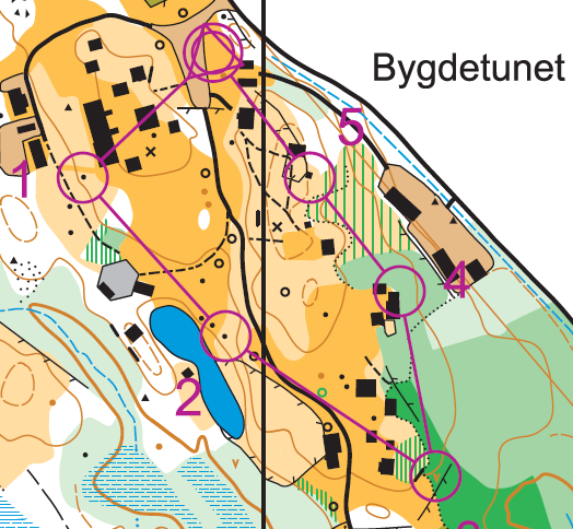 Årets siste nattløp ble avholdt på Bygdetunet den 15. oktober