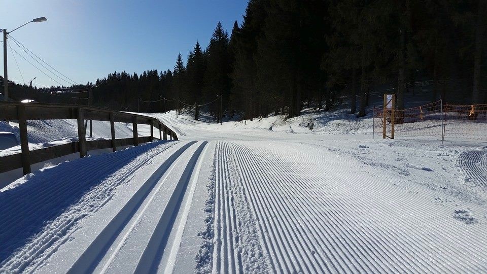 Hadelandsmesterskapet 2015