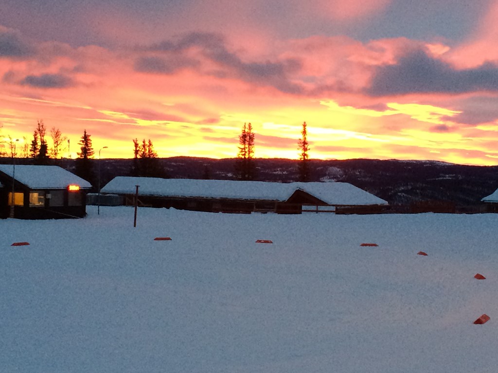 Ålrennet 2015