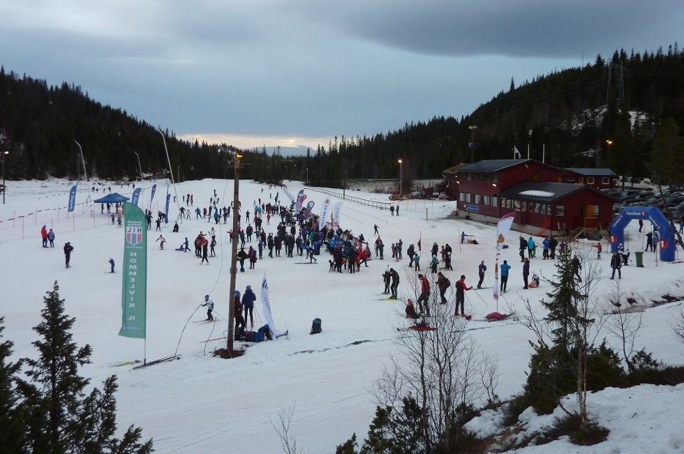 Selbuskogen