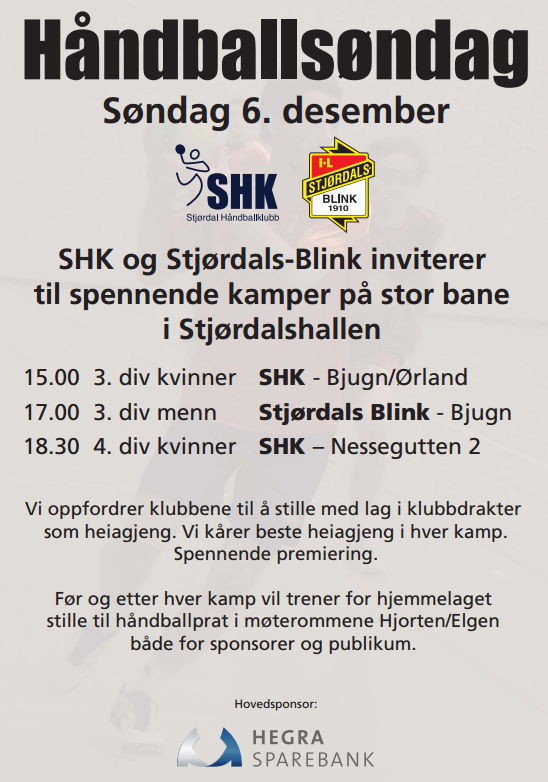 Håndballsøndag