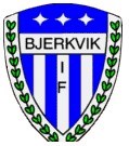 Styret i BIF 2014/2015