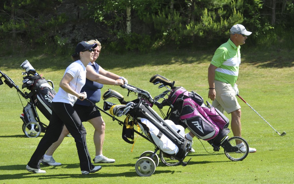 Blåmyra Open 2014