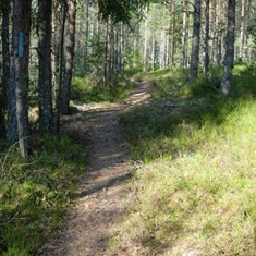 1. løp i Le tour de Glåmdal