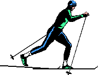 Årsmelding for skiavdelinga 2014